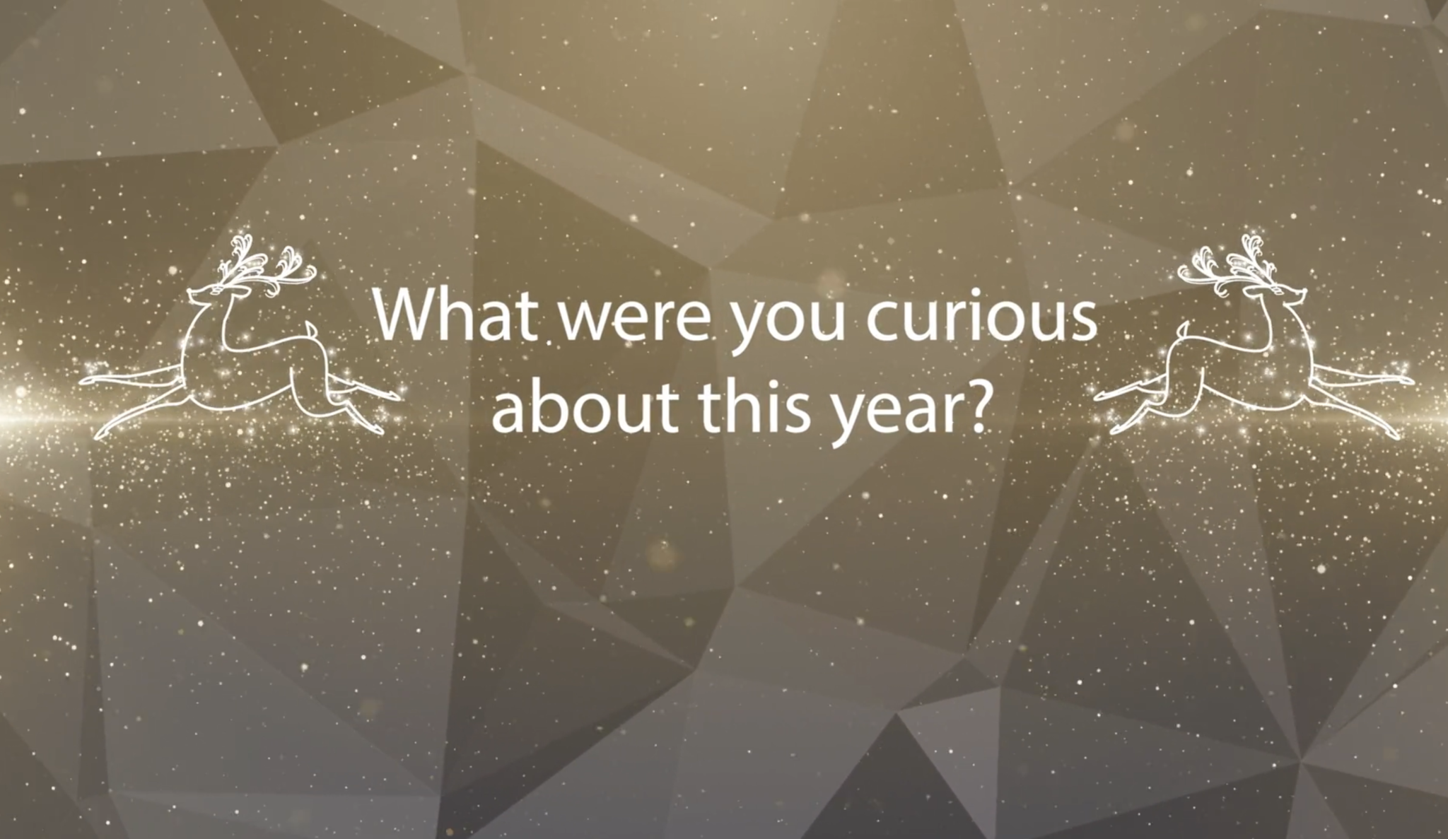 2019: A Year to be Curious