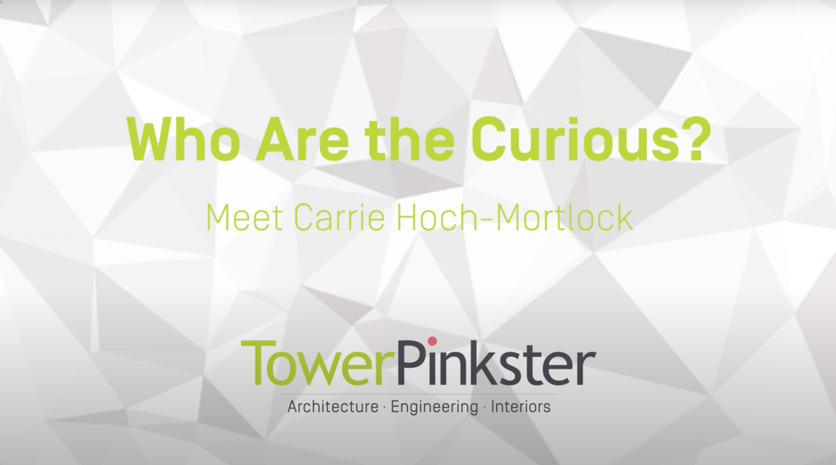 Who Are The Curious? // Carrie Hoch-Mortlock